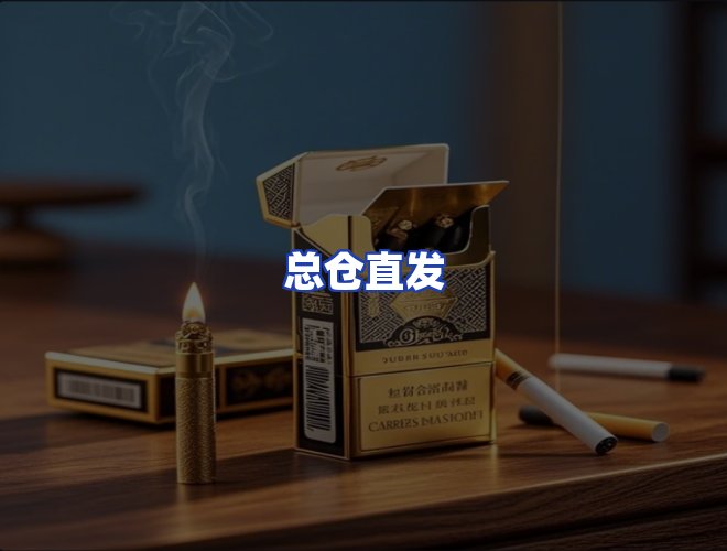 专业团队